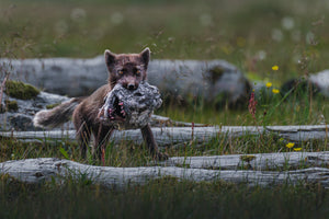 A Unique Catch