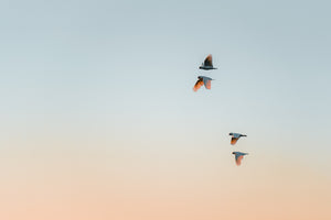 Synchronized